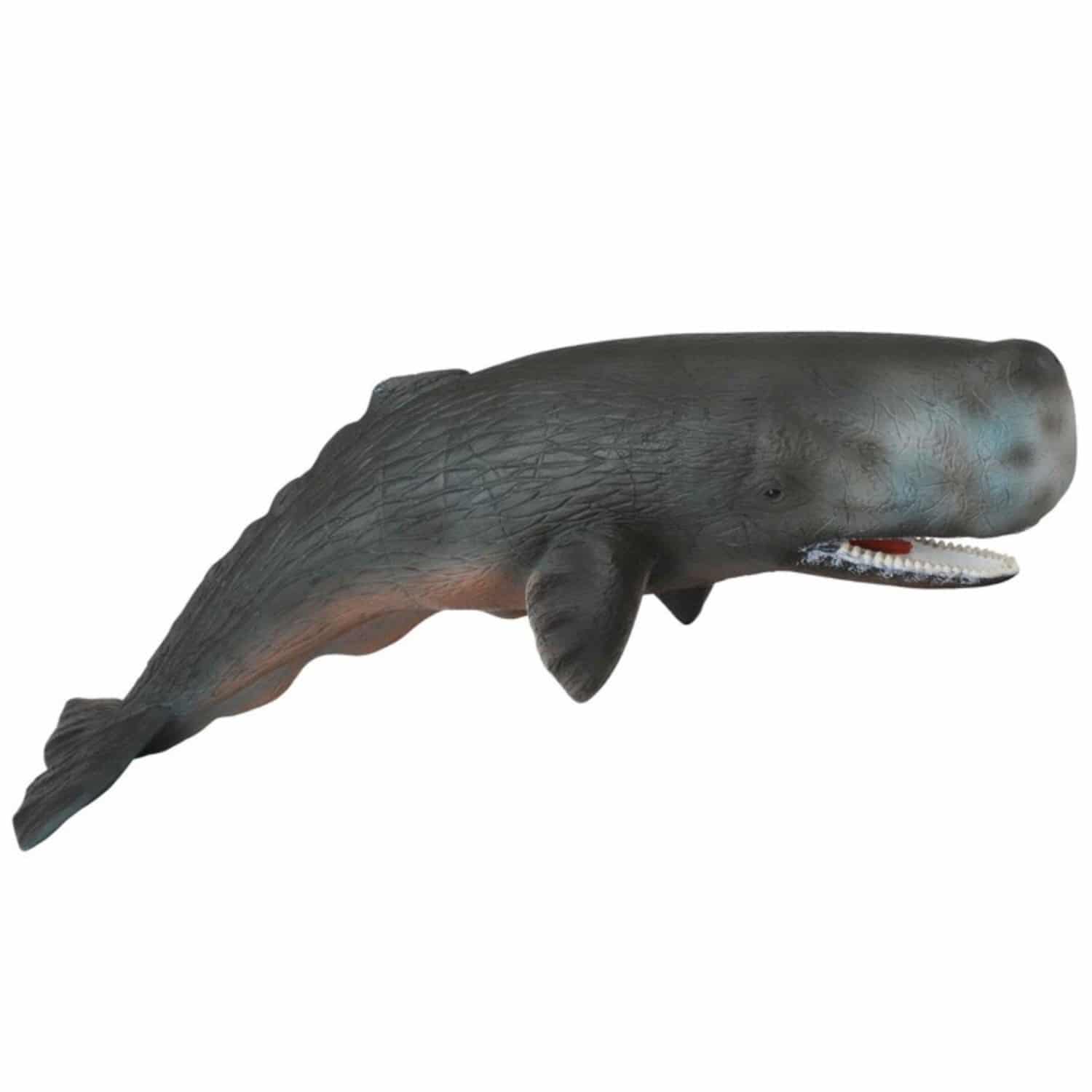 SPERM WHALE MODEL by COLLECTA - Red World Toys